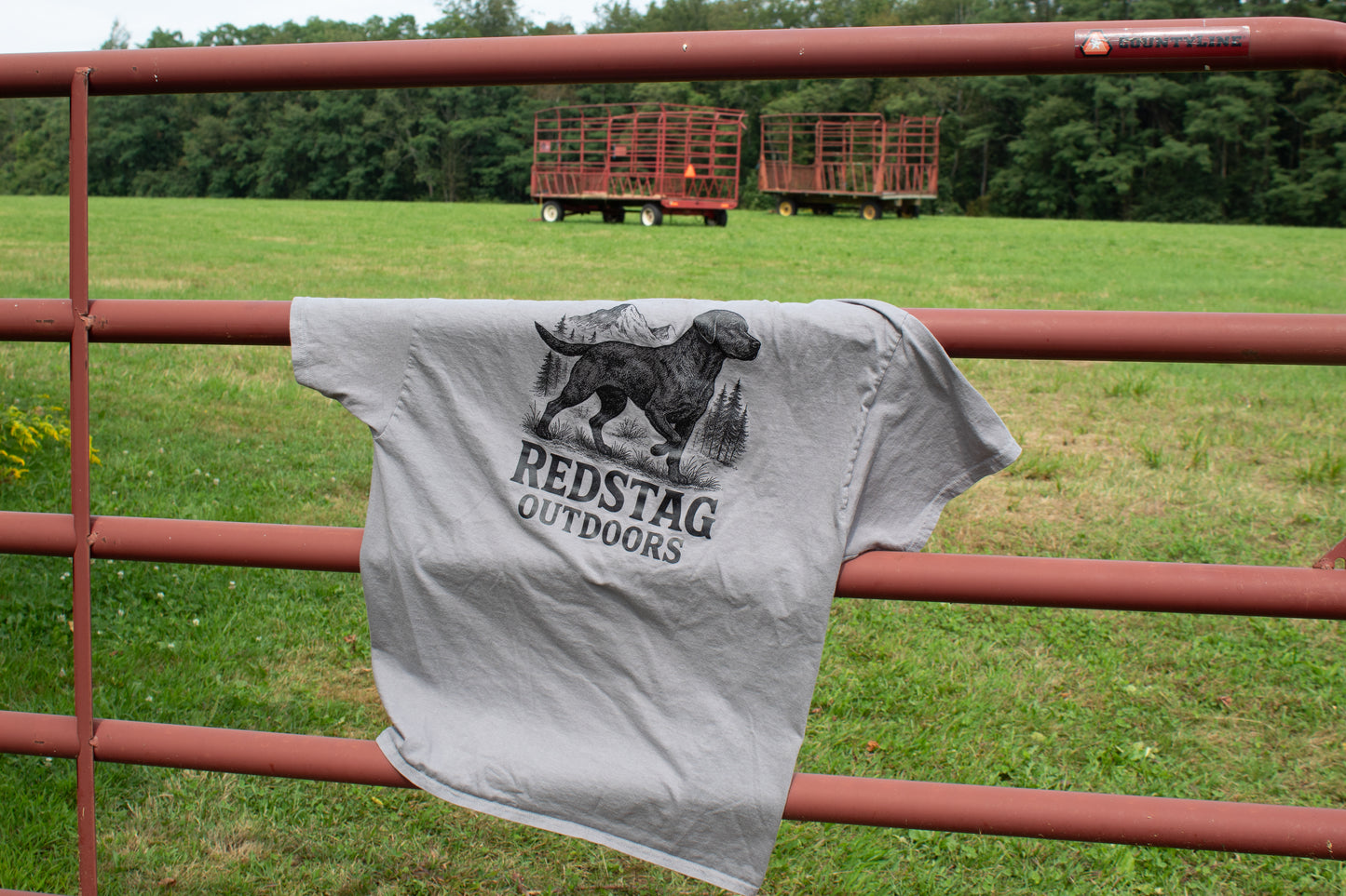 'Lab Pointer' Tee